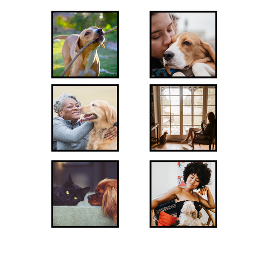 Custom Photo Magnet - 6 Pack